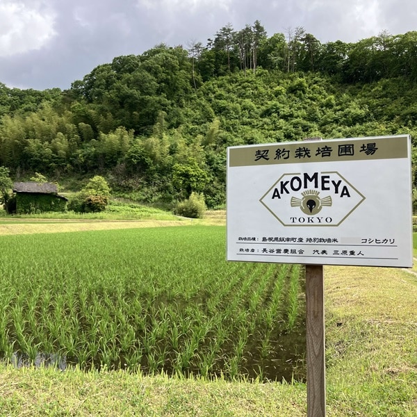 〈第1回〉アコメヤ飯南支所のコメ日誌 ~田植え編~ 長い米づくりのはじまり